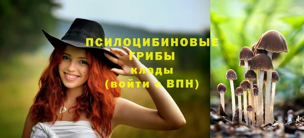 ПСИЛОЦИБИНОВЫЕ ГРИБЫ Наволоки