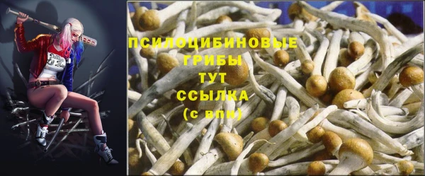тгк Надым