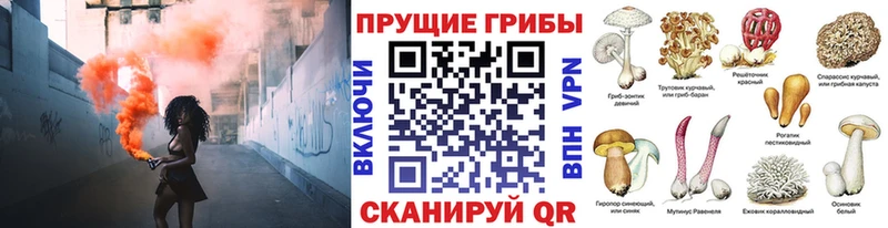 Псилоцибиновые грибы Magic Shrooms  кракен ССЫЛКА  Калач-на-Дону  магазин  наркотиков 