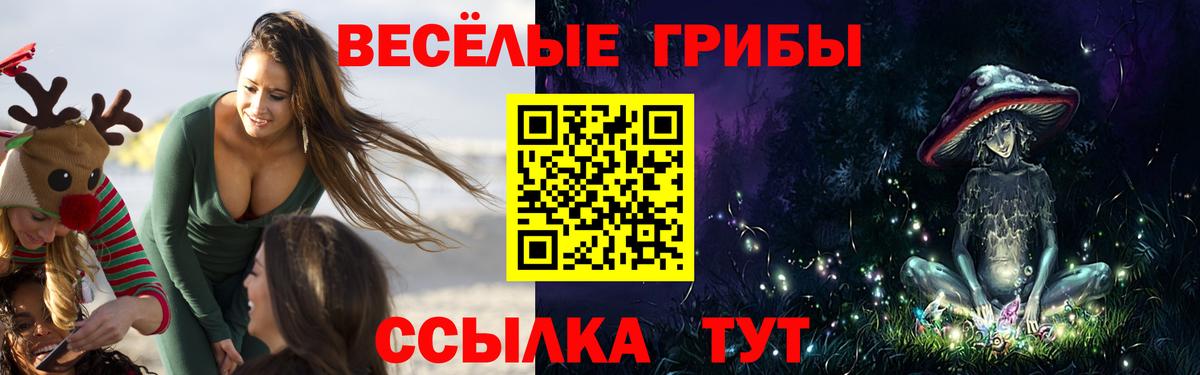 сколько стоит  Галлюциногенные грибы Magic Shrooms  Псилоцибиновые грибы Psilocybe  Вход с VPN  Калач-на-Дону 